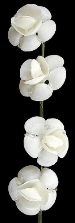 One White Cay Cay Shell Flower Stem measuring 10 inches******