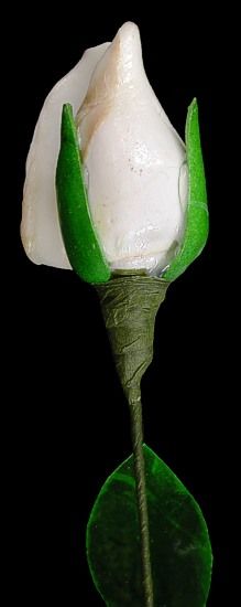A 12&quot; White Rose Shell Flower Stem