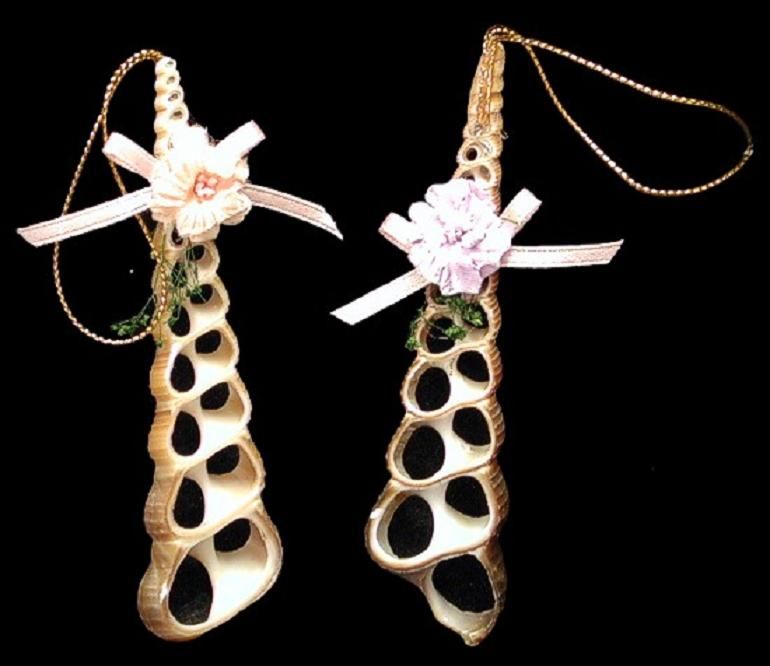 Center Cut Turretella Shell Hand Crafted Ornament measuring 3" Sold Each