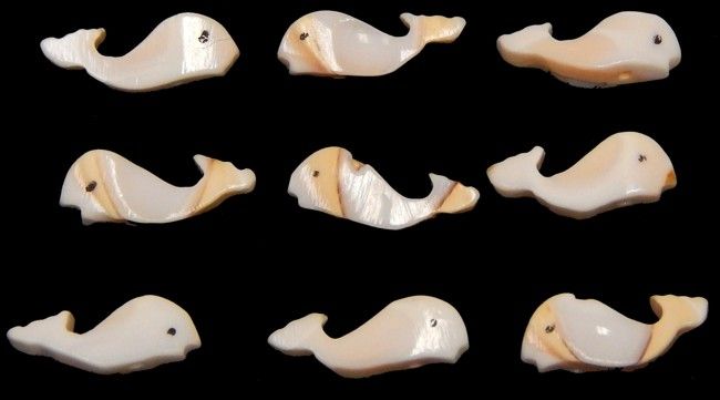 Whales Hand Carved from Luhanus Shells with a Drilled Hole measuring 1/2 to 3/4" Sold Each