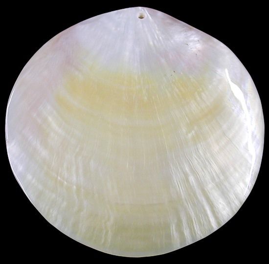 Hand Carved Gold Mother of Pearl with Drilled Hole measuring  3 1/2 to 4"  Sold Each