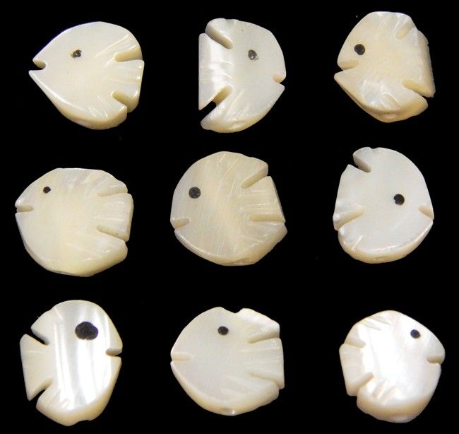 Troca Shells Hand Carved into Angel Fish with a Drilled Hole measuring 1/2 to 3/4" Sold Each