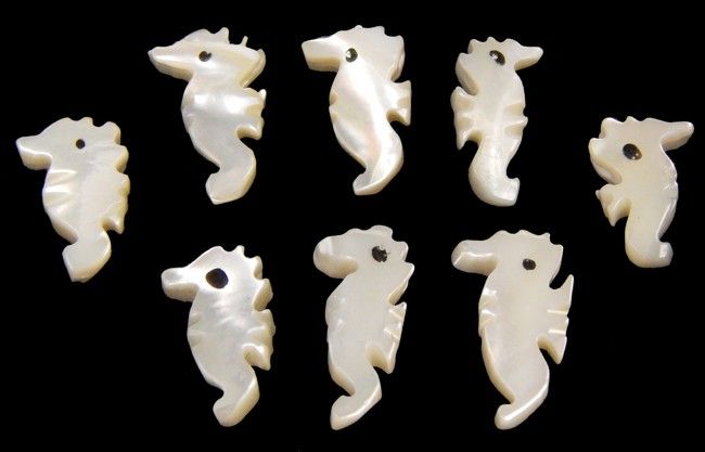 Troca Shells Hand Carved into Seahorses with a Drilled Hole measuring 1/2 to 3/4"  Sold Each
