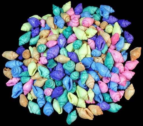 Dyed Assorted Pastel Nassa Shells measuring 1/2" or Less Sold by the 1/4 LBS