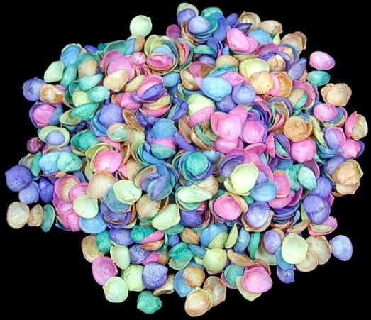 Dyed Assorted Cap Shells measuring 1/2" or Less by the 1/4 LBS