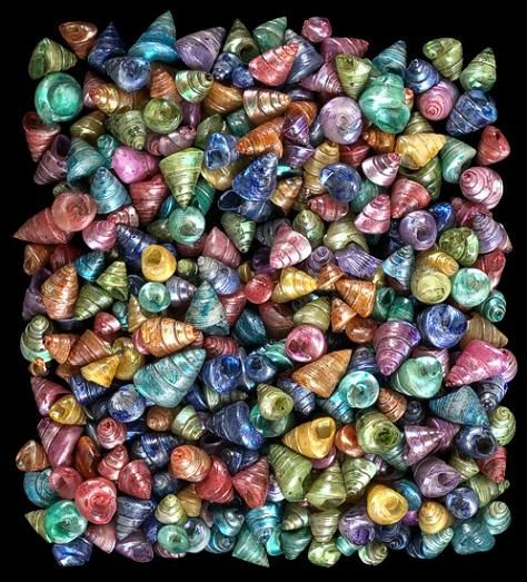 Dyed Assorted Trocus Shells measuring 1/4" or Less Sold by the 1/4 LBS