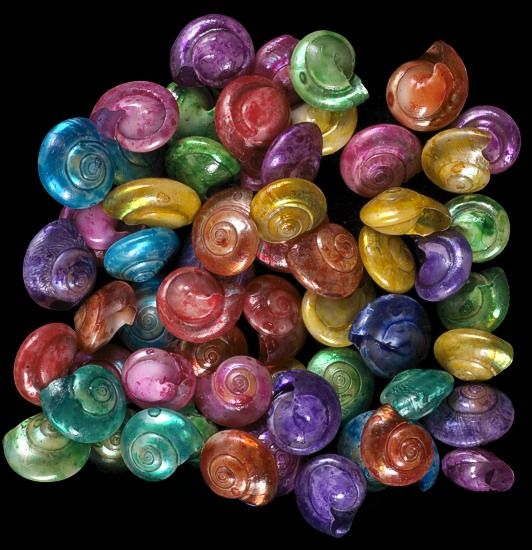 Dyed Assorted Umbonium Shells measuring 3/8" or Less Sold by the 1/4 LBS