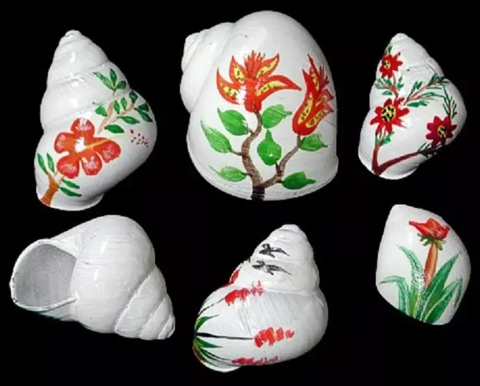 Hand Painted Assorted Tropical Scene Shells measuring 1 to 2" Shells Sold Each