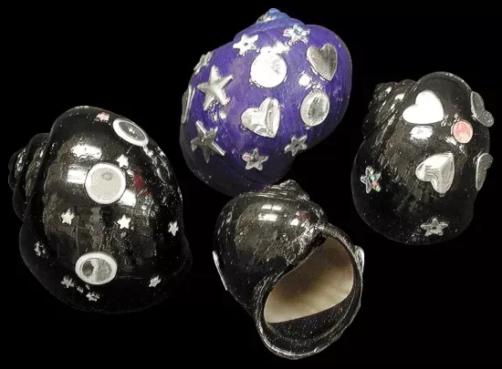 Hand Painted Jewel Design Shells measuring  2 to 2 1/2"  Sold Each
