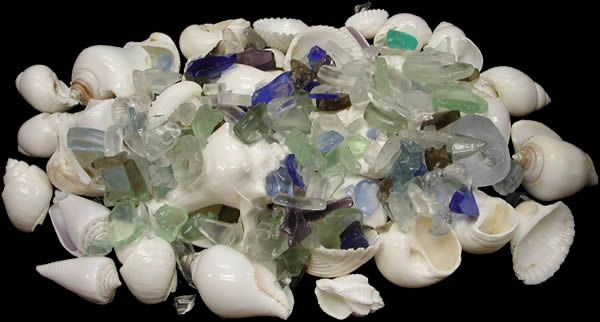White Shells &amp; Lite Sea Glass Mix measuring 1/2 to 3" Sold by the 1/4 pound