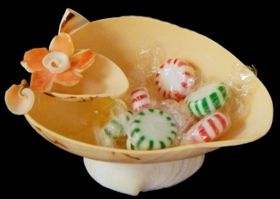 Melon Shell Container measuring 5 to 7"  Sold Each