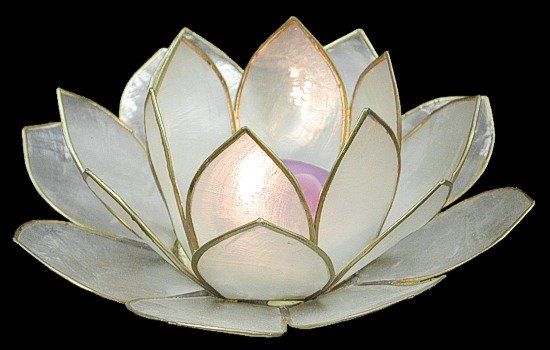 Capiz hand crafted 5x5" lotus Natural Color candle holder Sold Each
