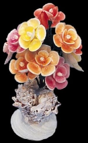 Shell Base Holding Cay Cay Shell Flowers measuring 9" SOLD OUT