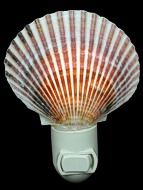 Purperatus Pectin Hand Crafted Shell Nitelite measuring 4"  Sold Each