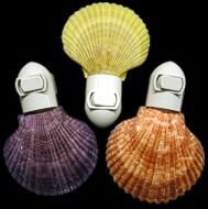Pectin Shell Hand Crafted Nitelite measuring 3"  Sold Assorted  Each