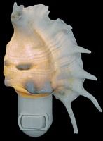 Lambis Shell Hand Crafted Nitelite measuring 4" Sold Each