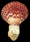 Calico Pectin Shell Hand Crafted Nitelite measuring 4" Sold Each