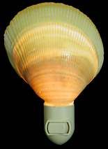 Yellow Cockle Shell Hand Crafted Nitelite measuring 4" Sold Each