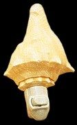 Conch Shell Hand Crafted Nitelite measuring 5" Sold Each