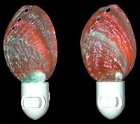 Australia Abalone NiteLite  measuring 4"  Sold Each