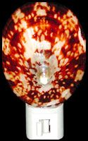 Oval Limpet Hand Crafted shell Nitelite measuring 4" Sold Each