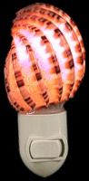 Harpa Shell Hand Crafted Nitelite measuring 3"  Sold Each