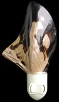 Wing Oyster Shell Hand Crafted Nitelite measuring 4"  Sold Each