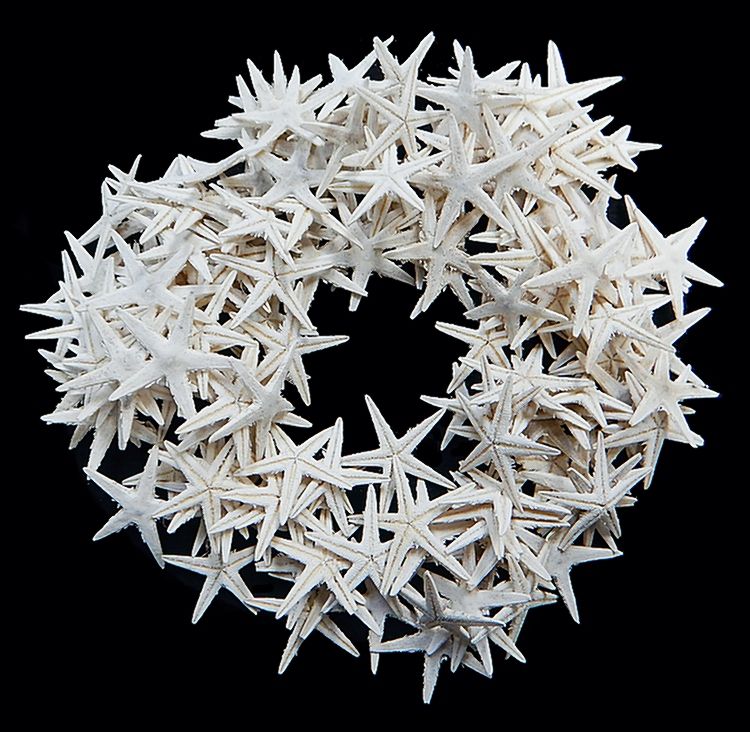 Dyed White Starfish measuring 1 1/2 to 2" Sold Each