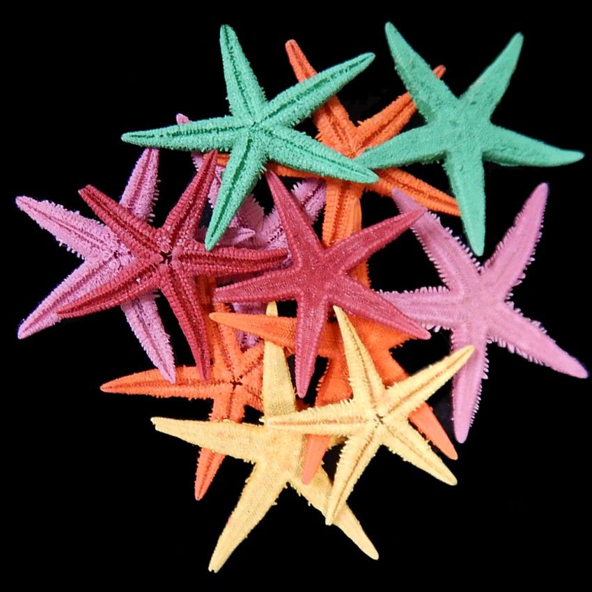 Dyed Assorted Starfish measuring 1 to 1 1/2" Sold Each