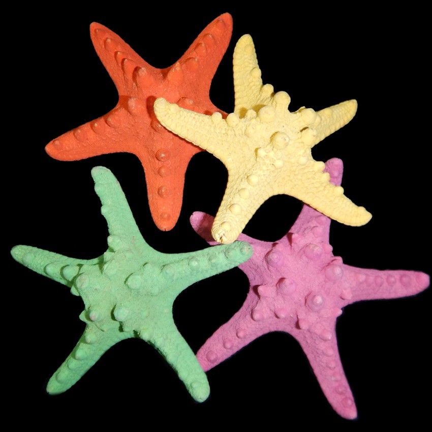 Dyed Assorted Knobby Starfish measuring 4 to 5" Sold Each