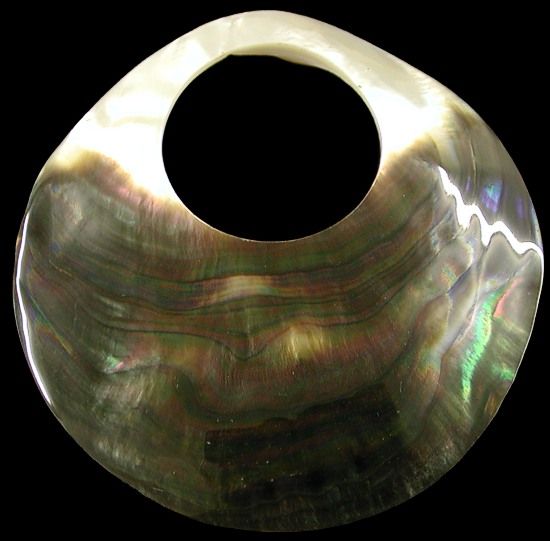 Blacklip Oyster Rounds measuring  2 1/2" With Cut Hole, Sold Each