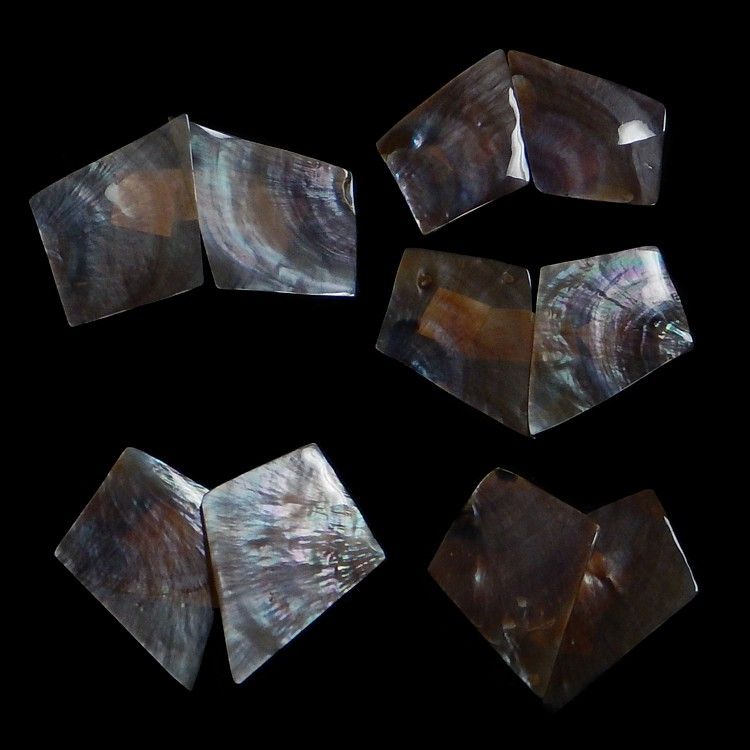 Pen Shells Cut into 1 to 2" Pieces  Sold Each