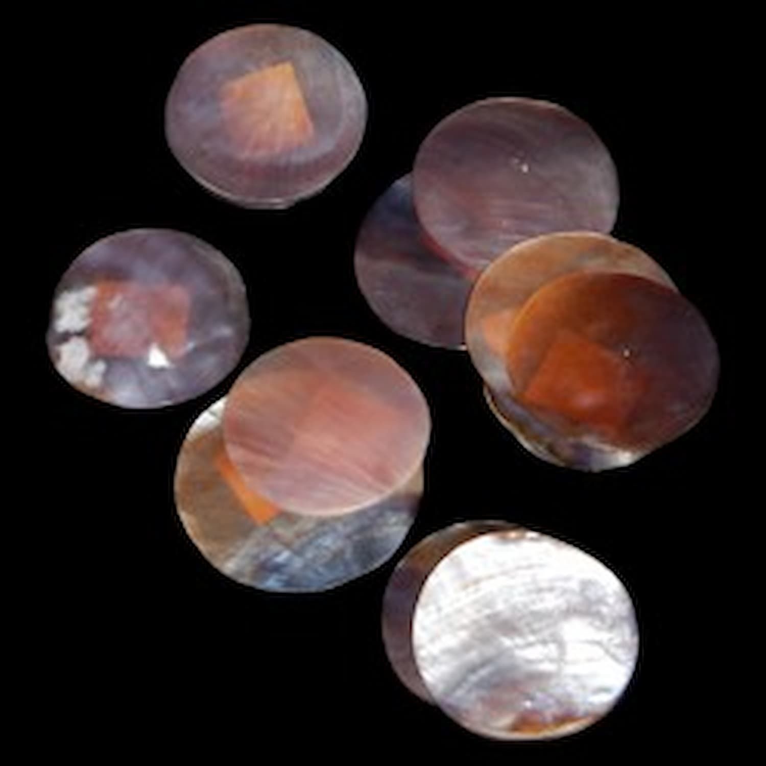 Brown Lip Oyster Cut Rounds measuring 3/4 to 1"  Sold each