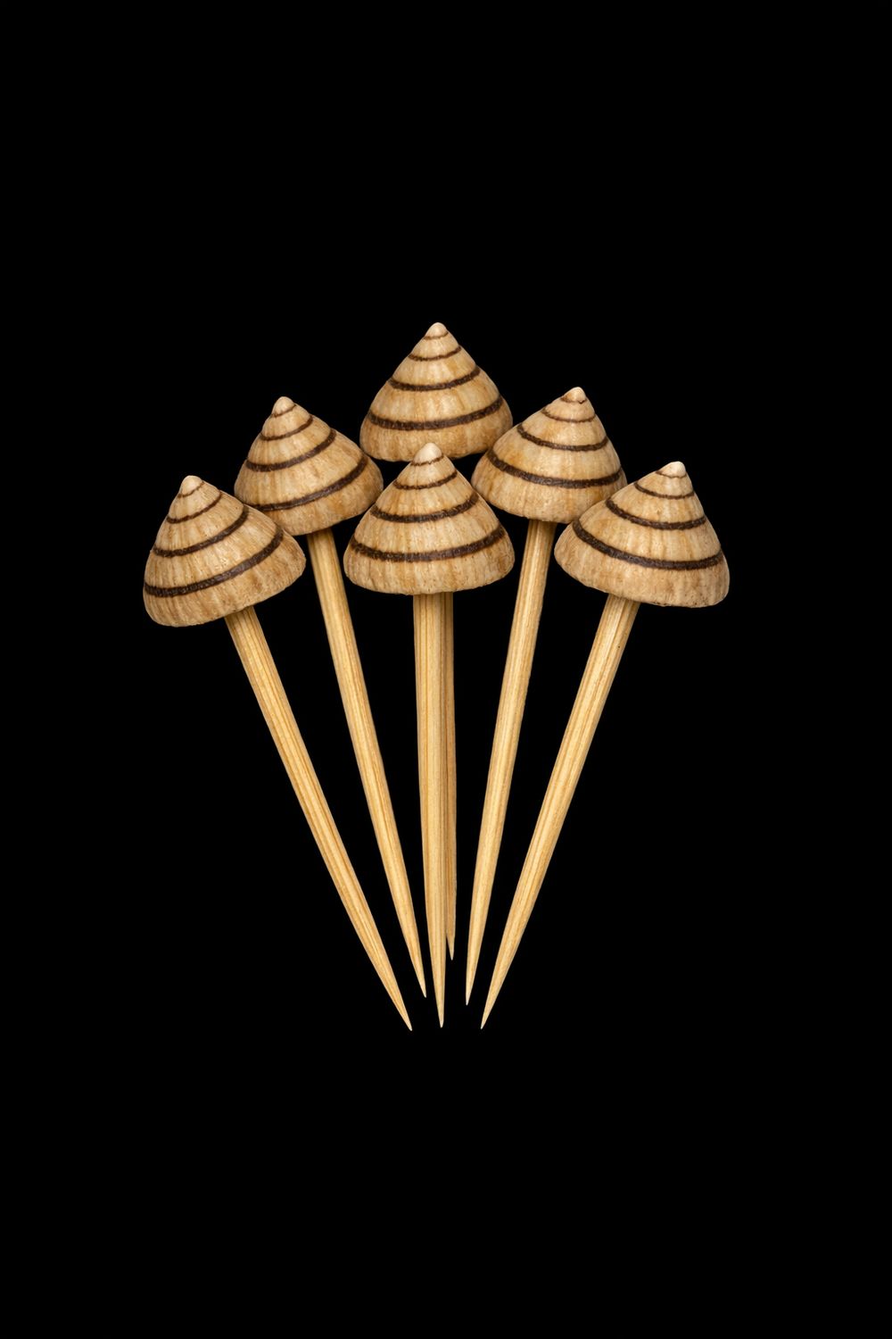 Toothpicks 4" with a 1/2" or less Natural Candy Snail Shell Attached  Sold Each