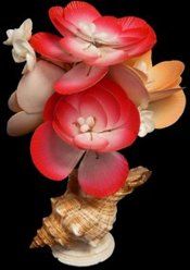 Sun &amp; Moon Shell Flowers rested in a shell 8" SOLD OUT