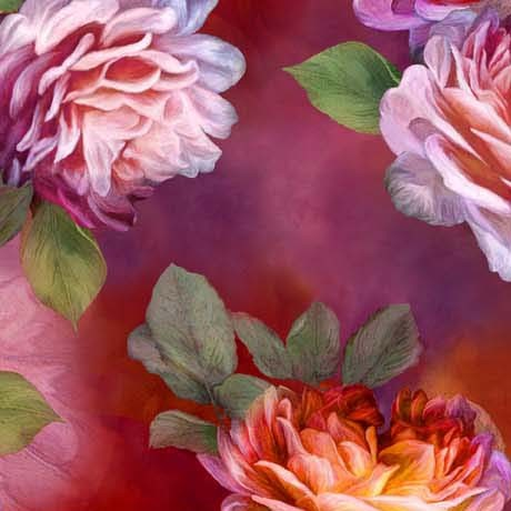 Rose Grace - Large Roses