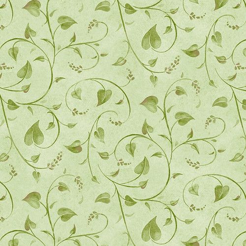 Bloomerang Green Vine