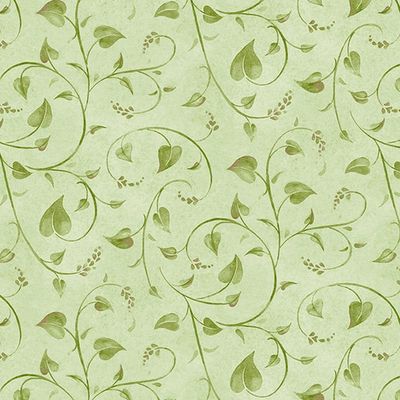 Bloomerang Green Vine