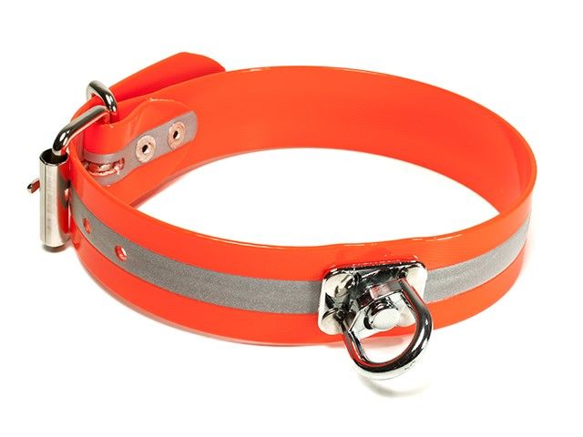 Mystique Halsband Biothane