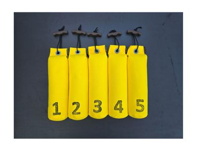 Mystique Dummy Set Genummerd 500 Gram 1 Tot 5 Geel
