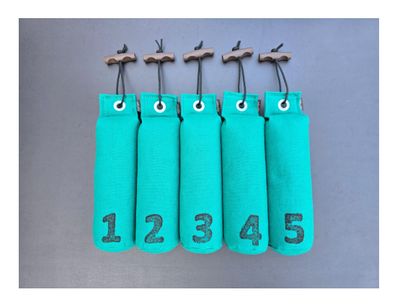 Mystique Dummy Set Genummerd 500 Gram 1 Tot 5 Groen