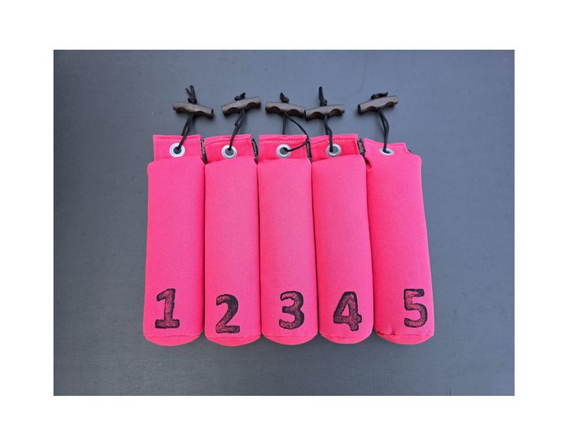 Mystique Dummy Set Genummerd 500 Gram 1 Tot 5 Hot Pink