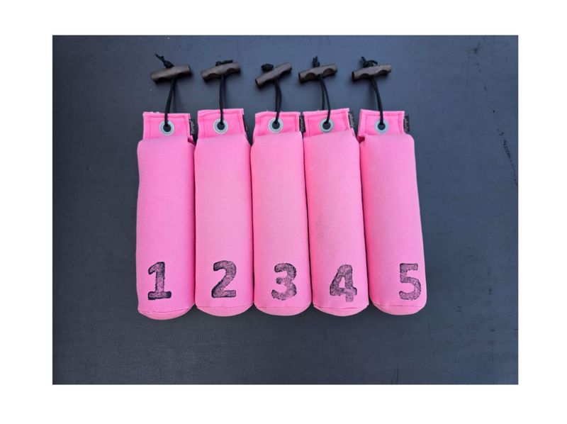 Mystique Dummy Set Genummerd 500 Gram 1 Tot 5 Roze