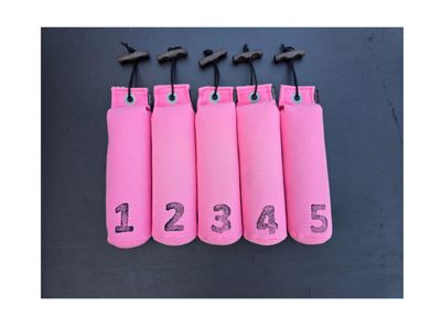 Mystique Dummy Set Genummerd 500 Gram 1 Tot 5 Roze