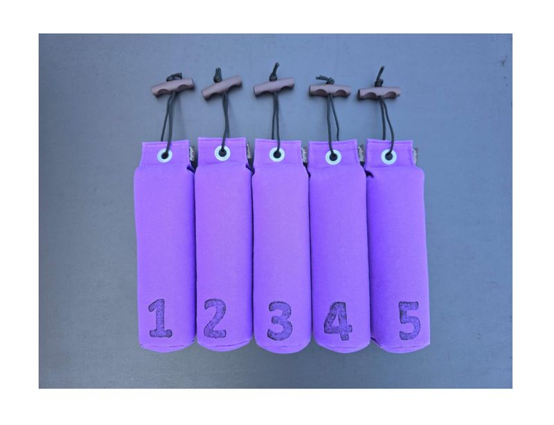 Mystique Dummy Set Genummerd 500 Gram 1 Tot 5 Lila