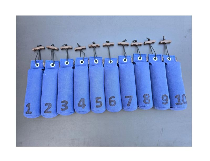 Mystique Dummy Set Genummerd 500 Gram 1 Tot 10 Blauw