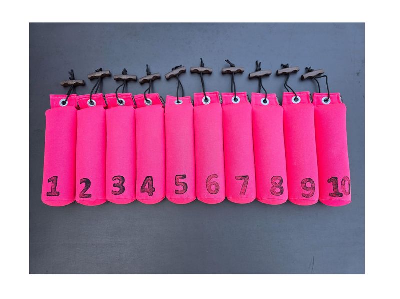 Mystique Dummy Set Genummerd 500 Gram 1 Tot 10 Hot Pink