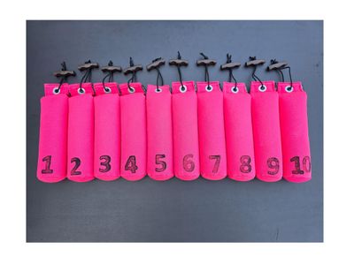 Mystique Dummy Set Genummerd 500 Gram 1 Tot 10 Hot Pink