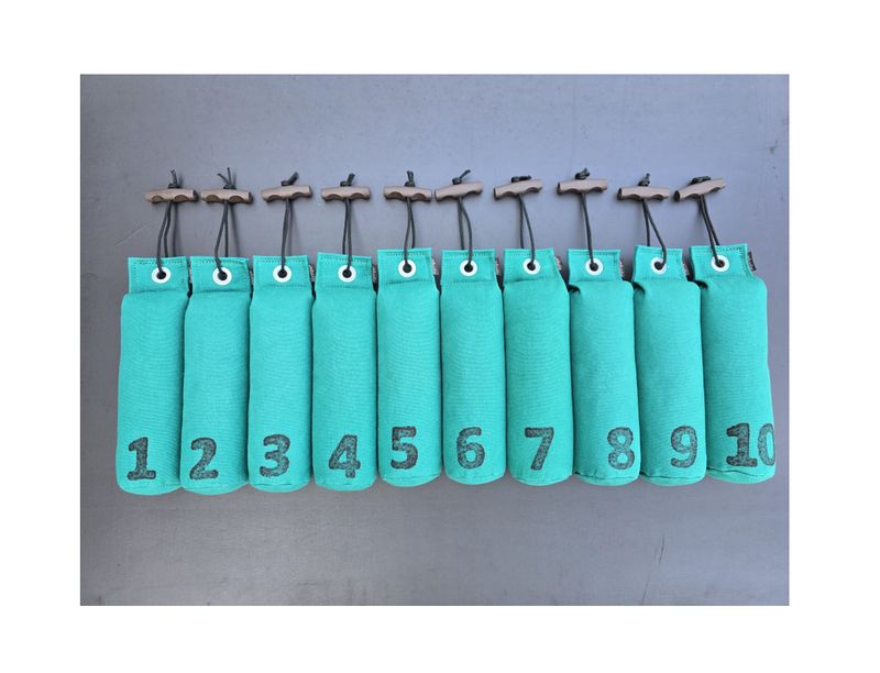 Mystique Dummy Set Genummerd 500 Gram 1 Tot 10 Groen