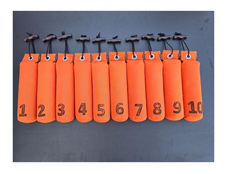 Mystique Dummy Set Genummerd 500 Gram 1 Tot 10 Oranje